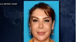 Iranian woman arrested on charges of arms trafficking