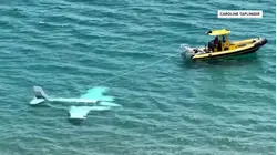Video: Pilot Survives Crash Into Ocean off Boca Raton