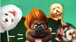 Dog Geniuses