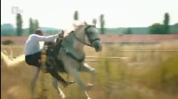 DANGEROUS STUNT As Horseman Nearly Falls Off His Horse! | Got Talent Global