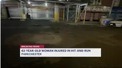 Woman injured in Parkchester hit-and-run 