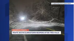 Route 303 in Clarkstown reopens after fallen tree