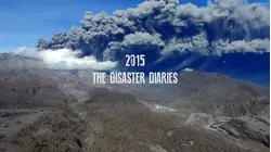 2015: The Disaster Diaries