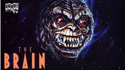 The Brain