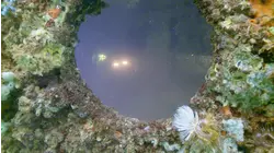 USS Arizona: Part 1