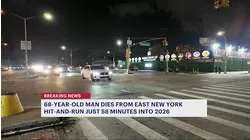 Man killed in East New York hit-and-run 1 hour into the new year