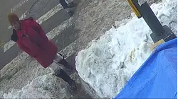 Flatbush woman warning neighbors about recent break-in