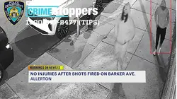 Trio steal over $71K worth of property from two men at gunpoint in Pelham Bay