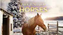December Horses