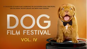 Dog Film Festival Vol. 4
