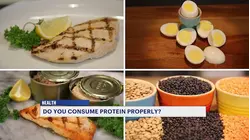 Experts: Protein should be eaten during every meal