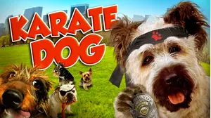 Karate Dog