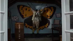 Death of the small Coppers