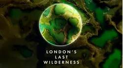 London's Last Wilderness