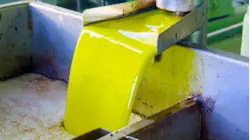 How 3 Million Gallons Of Olive Oil Are Produced Per Year In Spain During Crippling Droughts