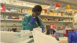 Concerns rise over NIH budget cuts impact on breast cancer research