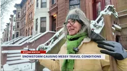 Snowfall brings winter wonderland to Prospect Heights