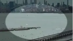 Bird Strike Likely Caused Fatal 2025 NYC Helicopter Crash: Report