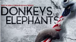 Donkeys and Elephants