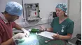 The Yorkshire Vet