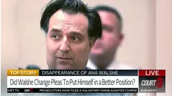 Brian Walshe Pleas: Accepting Responsibility or Trial Strategy?