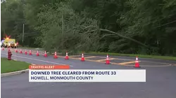 Road reopens after fallen tree blocked lane in Howell