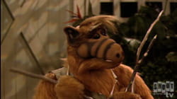 ALF: S4 E22 - Hungry Like the Wolf