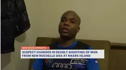 Suspect in Bronx killing of Westchester man dies in custody