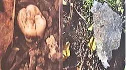 Shocking Find: Tooth, Skull Fragments Recovered From Burn Pit in Wife Murder Case