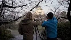 Japan Before Dawn