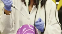 Researcher at Russian Lab Dies After Potential Plague Exposure
