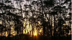 Australia - On the Majestic East Coast