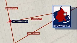 Woman slashed, taken to hospital overnight in Brownsville