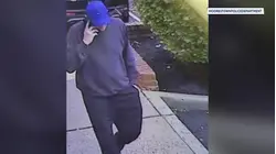 Police: Ice cream shop robber claimed to have gun before fleeing with cash
