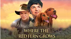 Where the Red Fern Grows