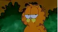 Garfield and Friends