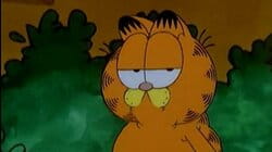 Garfield and Friends