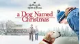 A Dog Named Christmas