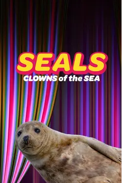 Seals - Clowns Of The Sea