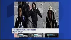 7 teens accused of slashing, robbing 15-year-old in Mott Haven