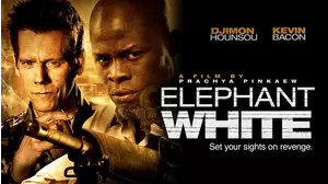 Elephant White