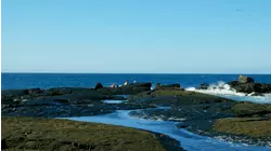 Galapagos: Fight For Survival