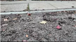 Chemical sand cleaned up in Wakefield after News 12 report