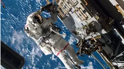 Astronauts' Brains Change Shape and Shift While in Space: Study