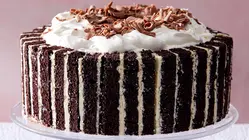 Impressive Chocolate Desserts