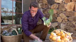 Cooking in Wine Country
