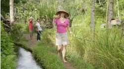 Bali, Indonesia - Tegalalang