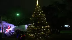 Fort Bragg launches holiday season with annual Christmas tree lighting