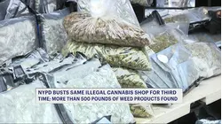 Third times a crime: Illegal Mott Haven cannabis shop raided again
