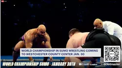 Sumo wrestling championship coming to Westchester